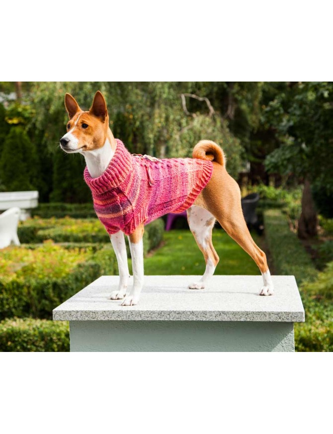 basenji sweater